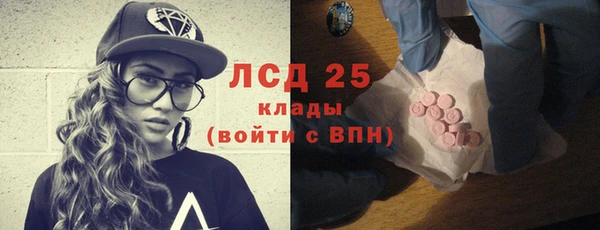 шишки Осинники