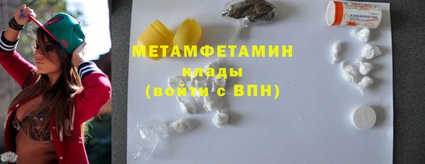 шишки Осинники