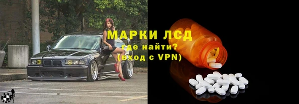 шишки Осинники