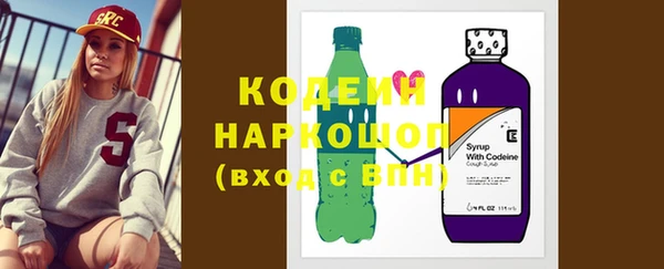 шишки Осинники