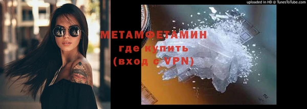 шишки Осинники