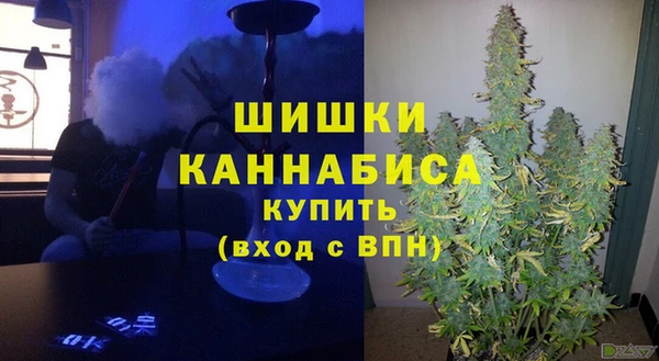 амф Осташков