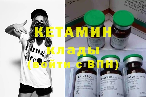 шишки Осинники