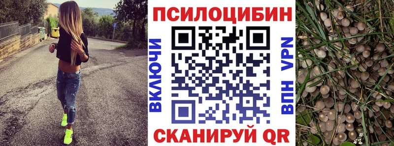 Псилоцибиновые грибы прущие грибы  Пионерский 